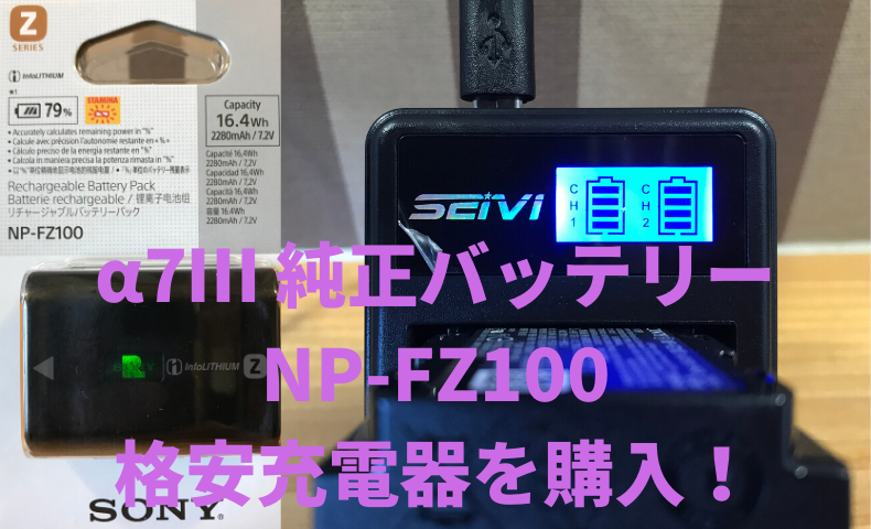 α7Ⅲの純正バッテリーNP-FZ100と格安充電器を購入！ | TROUT.BLUE